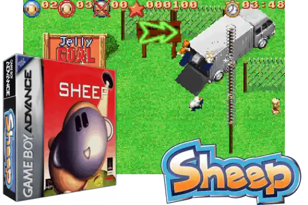 sheep